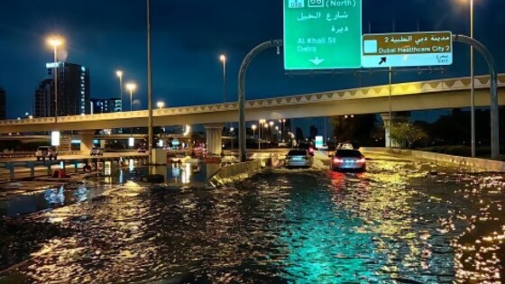 “Marcelo Modelón” y las inundaciones en Dubai — Darwin concentrado — No Toquen Nada | El Espectador 810