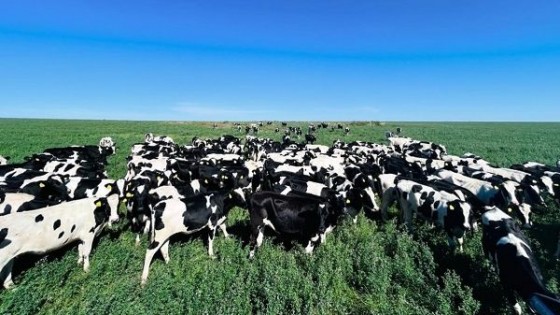 Diego Rodríguez: jornada de campo de lechería con foco en un sistema con muy buenos indicadores — Lechería — Dinámica Rural | El Espectador 810