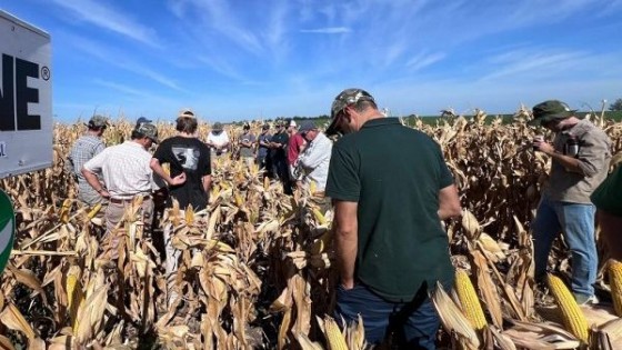 Ferri: los muy buenos rendimientos de lotes de producción en maíz, y lo que se está viendo en soja — Agricultura — Dinámica Rural | El Espectador 810
