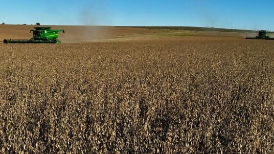 Alexis González: de a poco comienzan a estar prontos los cultivos en el sur — Agricultura — Dinámica Rural | El Espectador 810