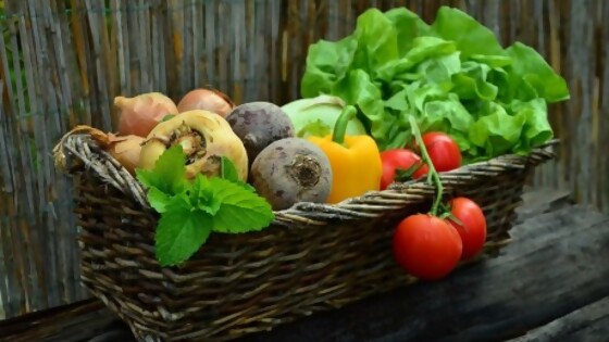 Verduras: cómo comprarlas, cocinarlas y conservarlas — Leticia Cicero — No Toquen Nada | El Espectador 810