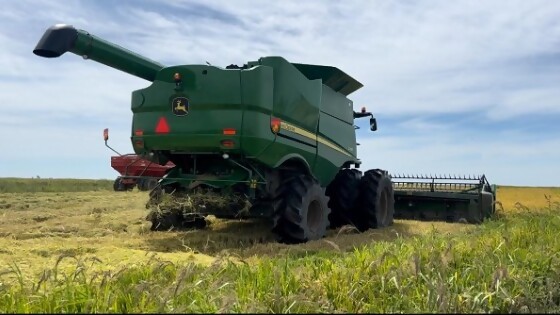 Federico Molina: en la serie histórica fue la cuarta zafra de mayor rendimiento — Agricultura — Dinámica Rural | El Espectador 810