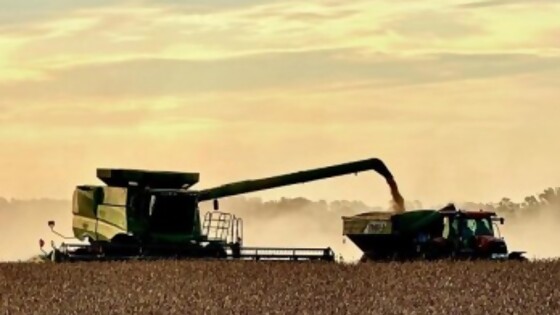 Lo que cabe esperar del mercado internacional de granos — Agricultura — Dinámica Rural | El Espectador 810