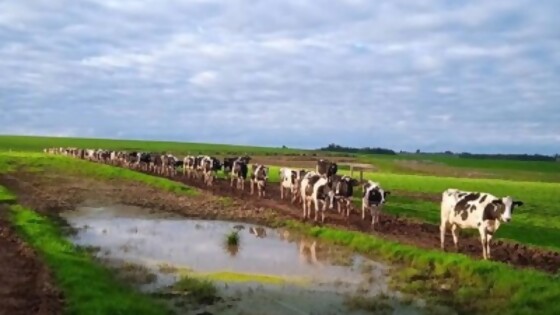 Clima: ‘‘la inestabilidad va a seguir’’, indicó José Serra — Clima — Dinámica Rural | El Espectador 810