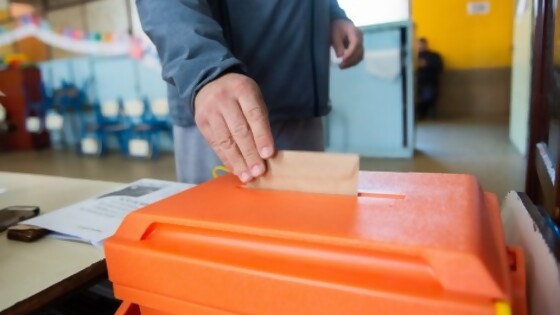 La paradoja del voto, por qué la gente vota en elecciones no obligatorias — Sebastián Fleitas — No Toquen Nada | El Espectador 810
