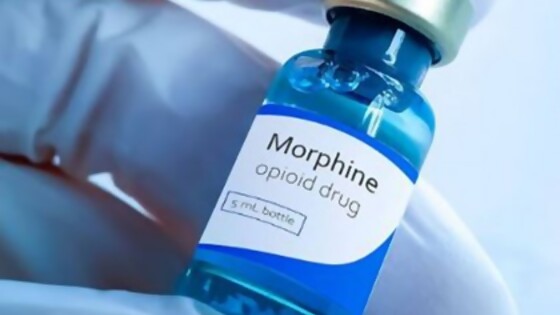 La morfina — Segmento dispositivo — La Venganza sera terrible | El Espectador 810