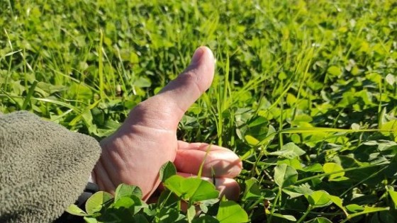 Armand Ugón: ''trabajar con más comida, para que los sistemas sean más resilientes'' — Mercados — Dinámica Rural | El Espectador 810