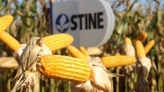 ADP y Stine presentan nuevos segmentos de maíces híbridos  — Agricultura — Dinámica Rural | El Espectador 810