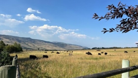 Lucía Bauer: la experiencia vivida al iniciar la maestría CREATE — Agricultura — Dinámica Rural | El Espectador 810