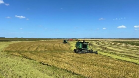 O’Brien: ‘‘la supervivencia es producir mucho y controlar los gastos’’ — Agricultura — Dinámica Rural | El Espectador 810