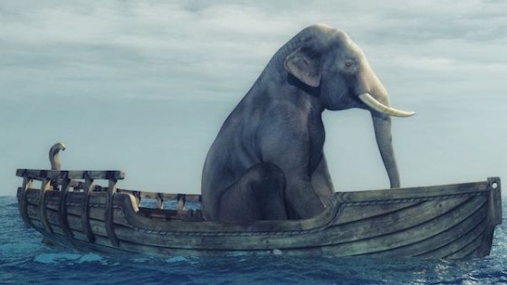 Objetivo 2020: Elefante al agua — Audios — Otro Elefante | El Espectador 810