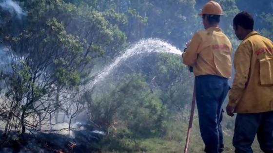 Carencias de Bomberos que “quedan en evidencia” tras incendios forestales — Informes — No Toquen Nada | El Espectador 810