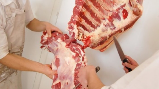 Suba y baja de la carne: perdedores, ganadores y ganaderos — Sebastián Fleitas — No Toquen Nada | El Espectador 810
