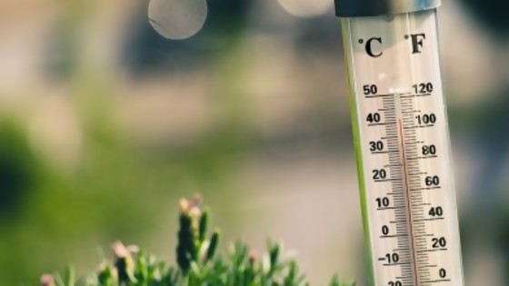 Brusco descenso de temperatura en el sur del país desde la mañana del sábado — Entrada libre — Más Temprano Que Tarde | El Espectador 810