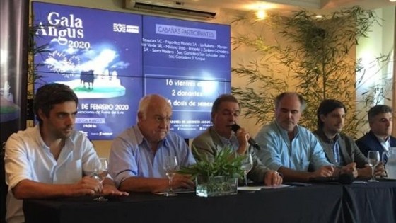 Gala Angus 'impone su genética de élite en la ganadería uruguaya' — Ganadería — Dinámica Rural | El Espectador 810