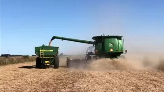 Agricultura: Transcurre La trilla de soja, y asoma la siembra de invierno — Agricultura — Dinámica Rural | El Espectador 810