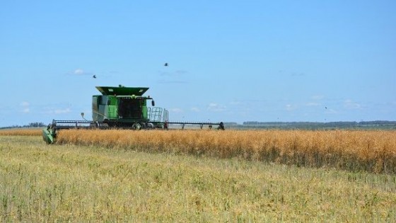 Davy Dufour: hay bastante rechazo en cebada — Agricultura — Dinámica Rural | El Espectador 810