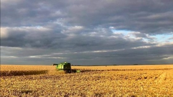 Son esperables escasas lluvias y heladas agrometeorológicas para la actual semana — Audios — Dinámica Rural | El Espectador 810