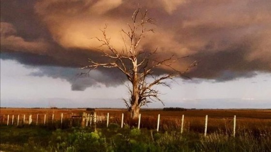 M. Bidegain: 'El acumulado de precipitaciones puede estar por encima de los 100 milímetros' — Audios — Dinámica Rural | El Espectador 810