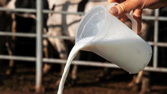 M. Baraibar: Por el momento 'en este escenario enrarecido no hay cambios bruscos para los lácteos' — Economía — Dinámica Rural | El Espectador 810
