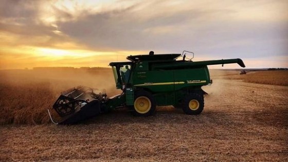 Soja: La zafra 19/20 dejó un millón de toneladas menos — Agricultura — Dinámica Rural | El Espectador 810