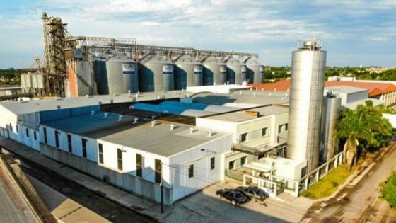 Capitales argentinos analizan la compra de Pili — Lechería — Dinámica Rural | El Espectador 810