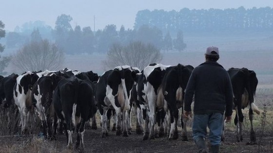 Javier Parra: corrección a la baja del precio de la leche “fue irremediable”  — Lechería — Dinámica Rural | El Espectador 810