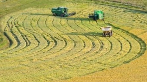 Arroz: El precio provisorio para el cereal quedó en 9.85 dólares por bolsa de 50kgs, más 15 centavos a cuenta de negocios de exportación — Agricultura — Dinámica Rural | El Espectador 810