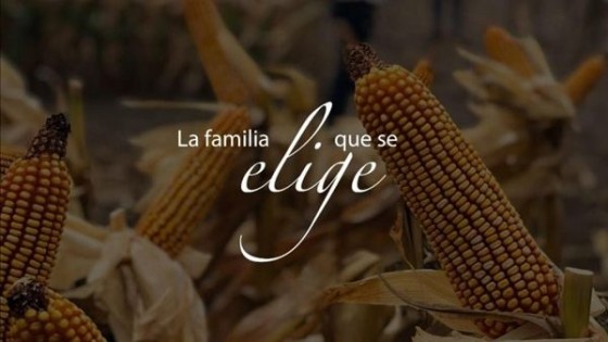 Alianza estratégica: ADP agrega un nuevo producto a su portafolio de cultivos de verano — Agricultura — Dinámica Rural | El Espectador 810