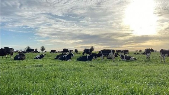 Buena noticia: Fonterra tuvo un aumento en la LPE de 12% — Lechería — Dinámica Rural | El Espectador 810