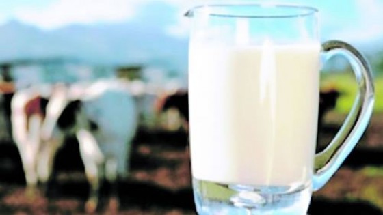 Exportaciones lácteas reportaron 343 millones dólares en lo que va del año — Economía — Dinámica Rural | El Espectador 810
