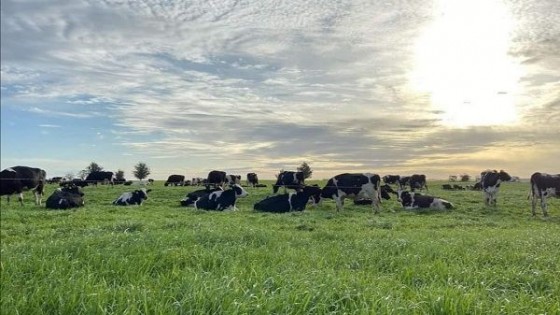 C. Mosca: En los próximos 5 años, el productor debería recibir 35 centavos de dólar por litro de leche — Lechería — Dinámica Rural | El Espectador 810