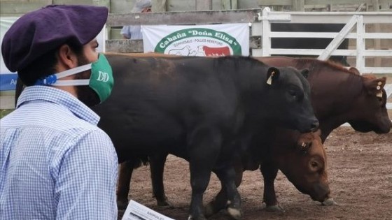 A. Dutra: ''Todavía hay buenos toros y también clientes'' — Ganadería — Dinámica Rural | El Espectador 810