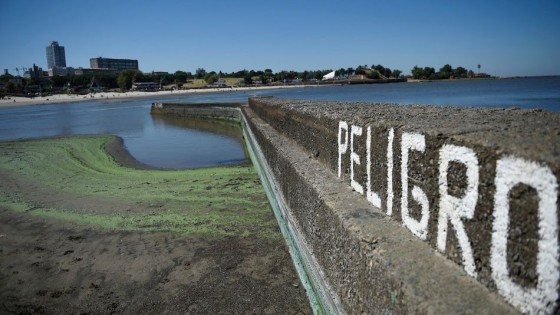 ¿Cuál es el pronóstico de cianobacterias para este verano? — Entrevistas — Primera Mañana | El Espectador 810