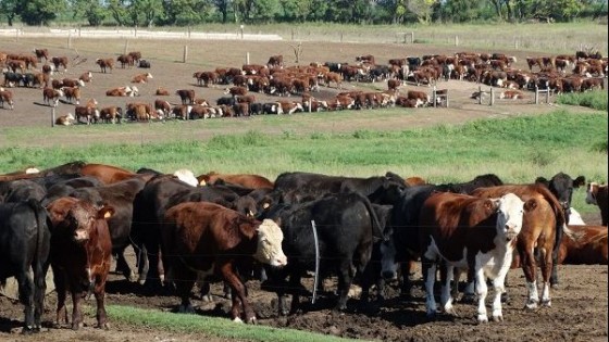 J. González: ''Hoy el clima condiciona tanto al ganadero como al industrial'' — Mercados — Dinámica Rural | El Espectador 810