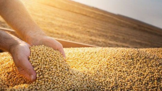 Chicago: ''La soja alcanza precios similares a 2014'' — Agricultura — Dinámica Rural | El Espectador 810