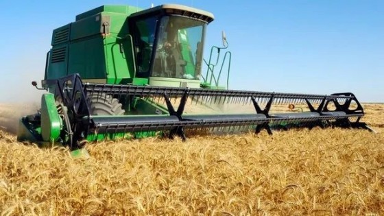 Zafra récord para trigo, cebada y canola — Agricultura — Dinámica Rural | El Espectador 810