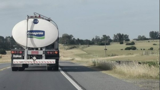 G. De Souza: El actual precio de Conaprole “era necesario y nos oxigena” — Lechería — Dinámica Rural | El Espectador 810