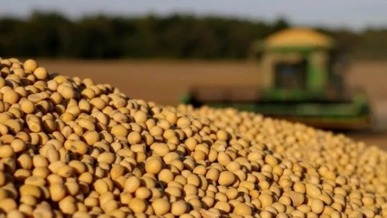 F. Morixe: ''La soja sigue volátil, pero en suba'' — Agricultura — Dinámica Rural | El Espectador 810