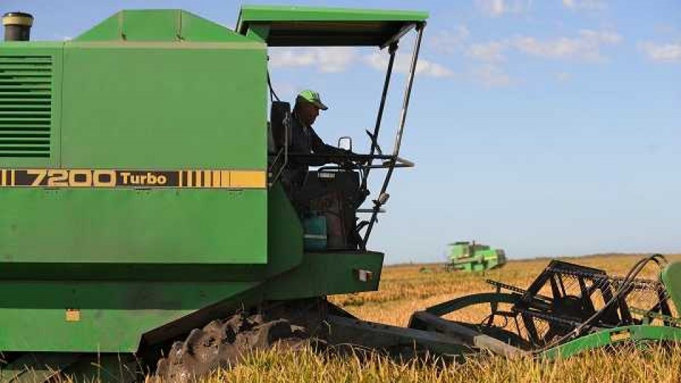 Según ACA, el gobierno no ha dado señales de más medidas para el sector, cuando algunos productores se plantean dejar la actividad —  Agricultura — Dinámica Rural | El Espectador 810