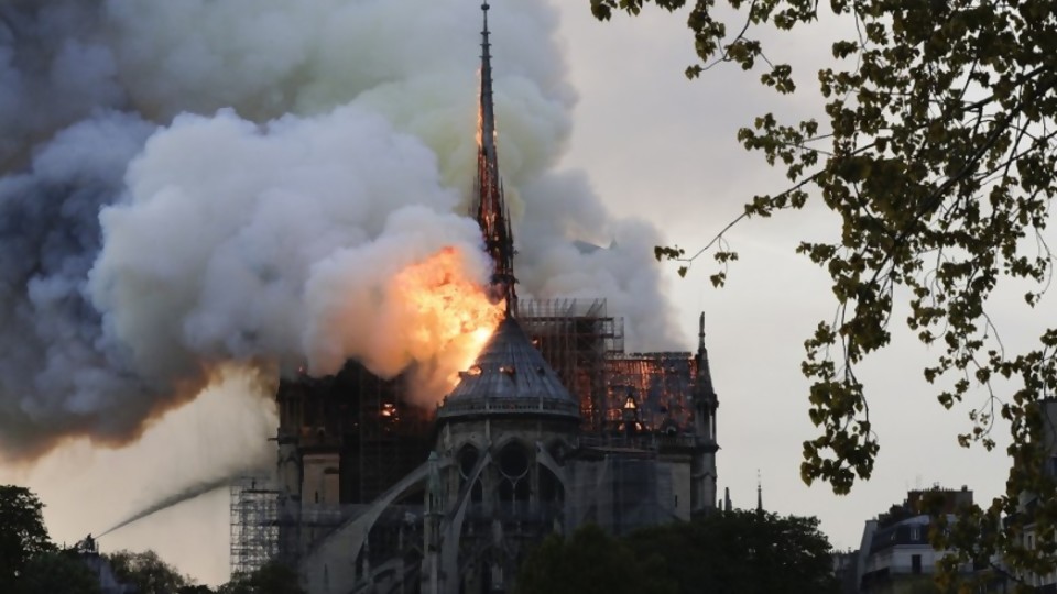 El incendio de Notre Dame y sus responsables, según Darwin —  Columna de Darwin — No Toquen Nada | El Espectador 810