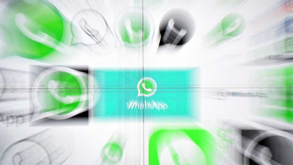 El Whatsapp en entredicho —  L’Almacén de los males necesarios — Otro Elefante | El Espectador 810