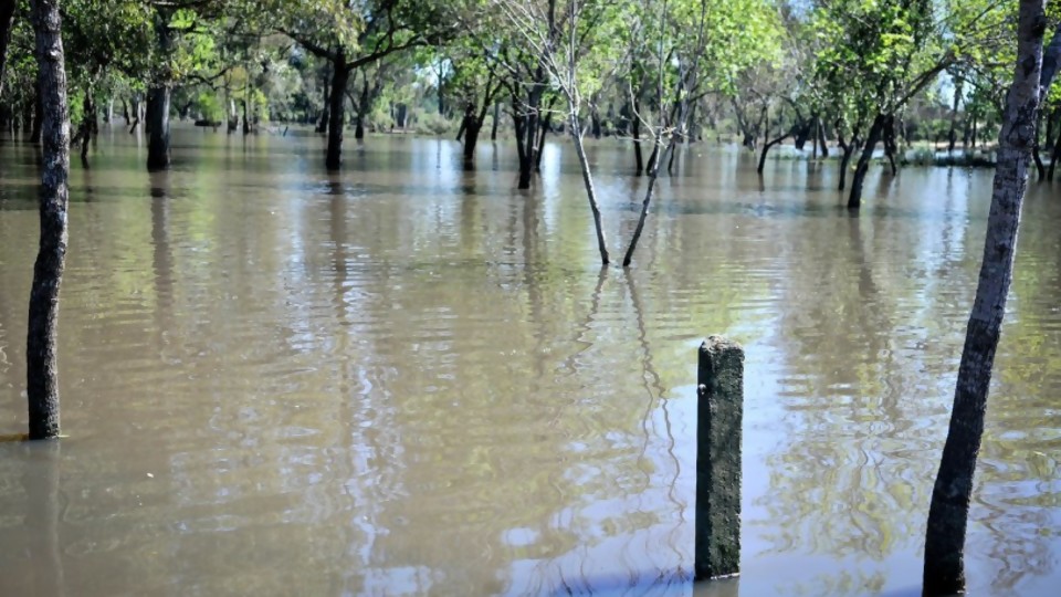 SINAE: actualización de la situación de personas afectadas tras las lluvias del fin de semana —  Puesta a punto — Más Temprano Que Tarde | El Espectador 810