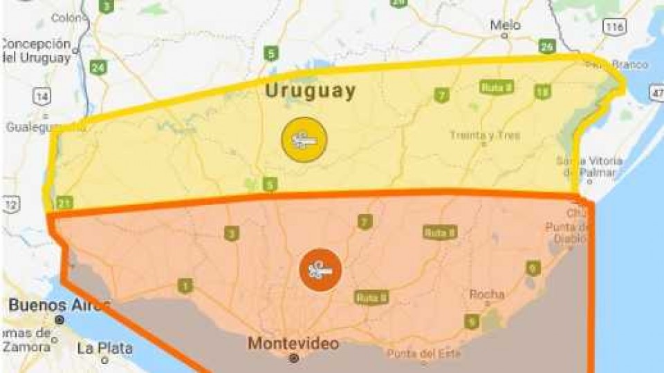 Alerta de noticias —  De qué te reís: Diego Bello — Más Temprano Que Tarde | El Espectador 810