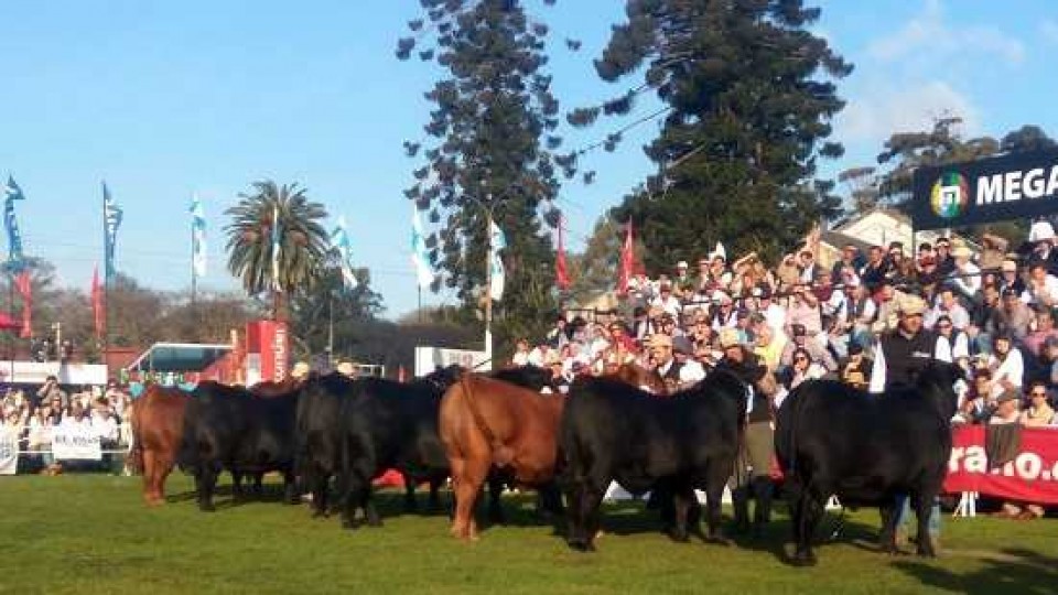 Se viene la 114ª Expo Prado del 4 al 15 de setiembre con un perfil enfocado en el agronegocio —  Ganadería — Dinámica Rural | El Espectador 810