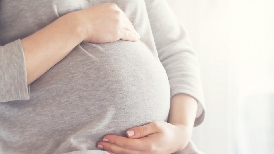 Proyecto de ley para proteger a las mujeres embarazadas durante la pandemia —  Qué tiene la tarde — Más Temprano Que Tarde | El Espectador 810