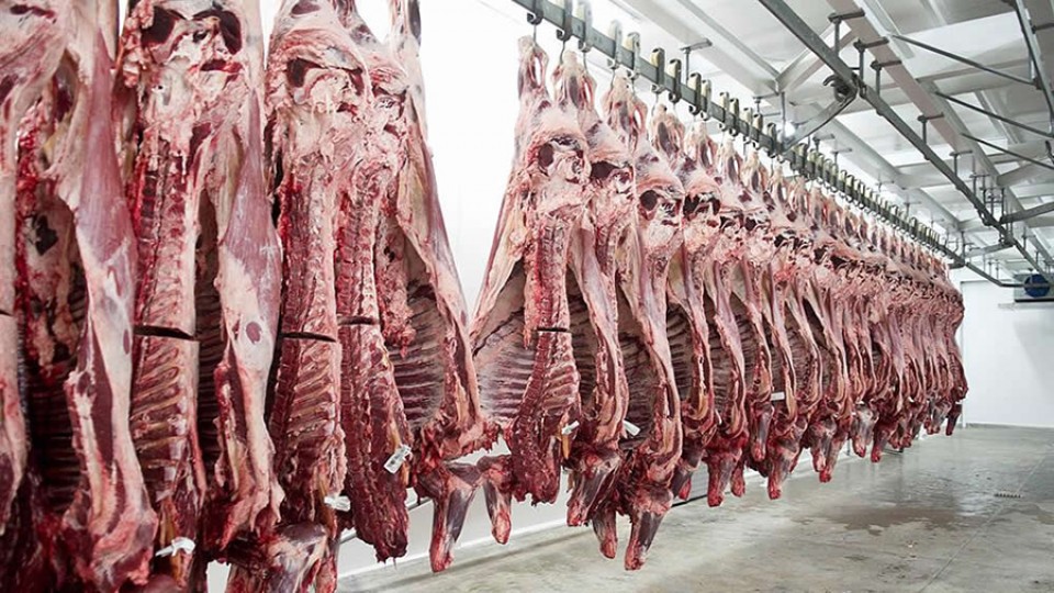 El impacto de la prohibición argentina a la exportación de carne vacuna —  La Entrevista — Más Temprano Que Tarde | El Espectador 810