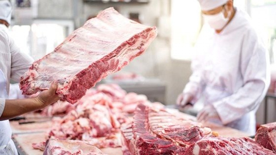 G. Vila: ''El cierre de exportaciones de carne de Argentina afecta al bloque'' —  Comercio Exterior — Dinámica Rural | El Espectador 810