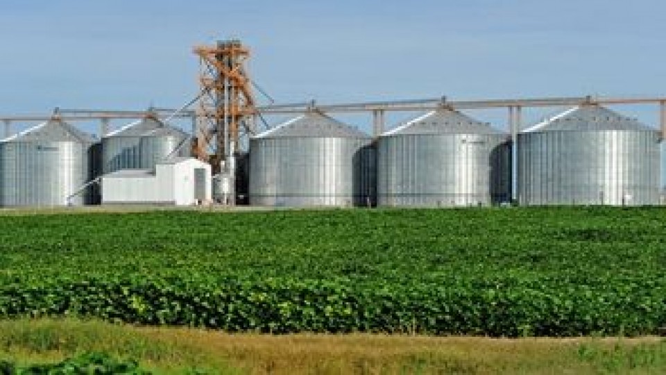 L. Olivera: ''En soja puede ser que Uruguay alcance los dos millones de toneladas'' —  Agricultura — Dinámica Rural | El Espectador 810