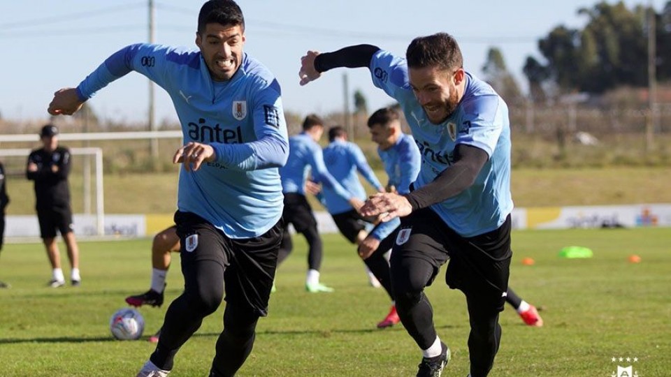 Suárez y el desafío de su última Copa América con Uruguay —  Deportes — Primera Mañana | El Espectador 810